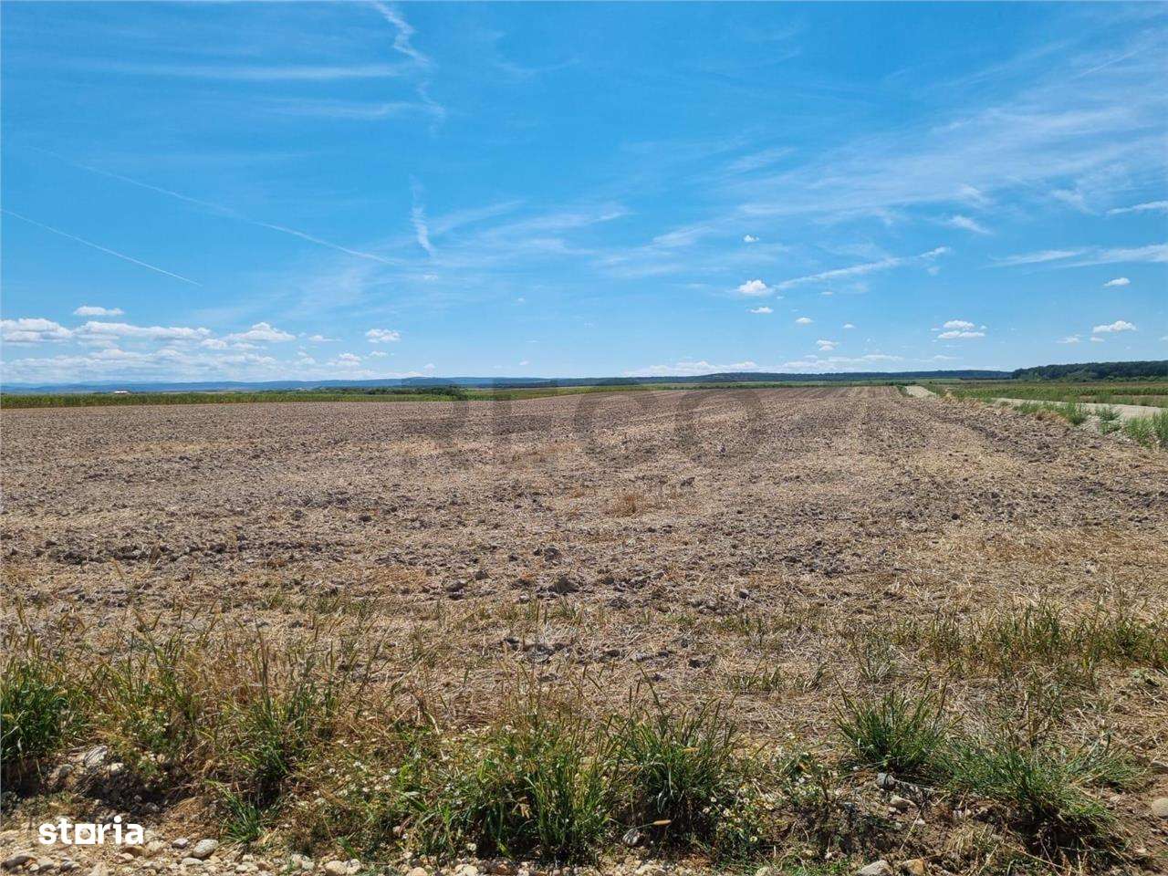 RECO Teren intravilan de vanzare Osorhei - Imagine principală: 1/3