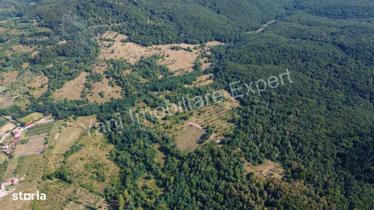 Teren de vânzare în comuna Băiculești, județ Argeș. - Imagine principală: 3/10