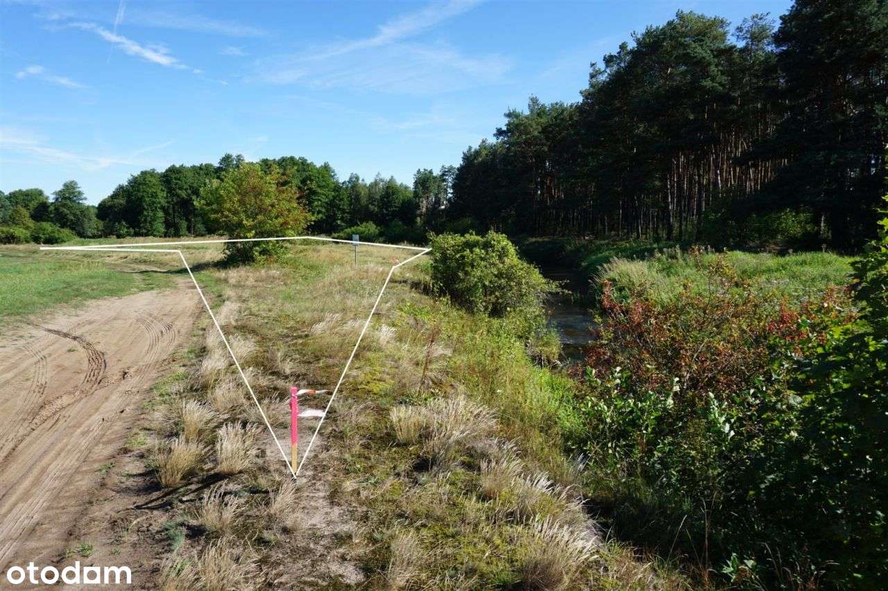 Działka 908 m² nad rzeką Czarną, Przyłęk, Paradyż-3
