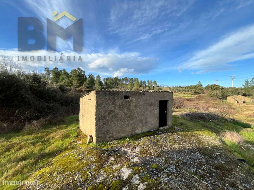 Terreno rústico, com 6280m2, para venda em Juncal do Campo! - Grande imagem: 2/15