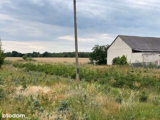 Długa Goślina, działka 4009 m2. - Pełny obrazek: 5/7