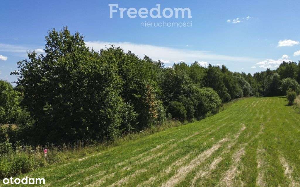 Działka 72a Malawa – z 3 Wz w trakcie, blisko lasu - Pełny obrazek: 4/12