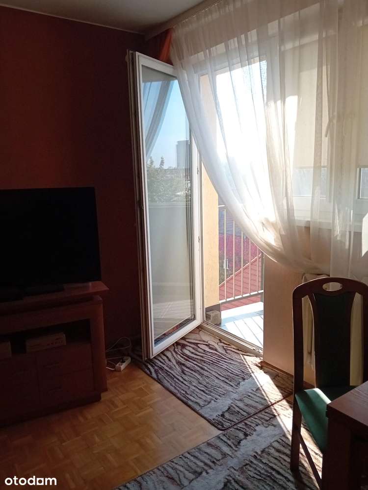 Ustronne miejsce w centrum miasta-8