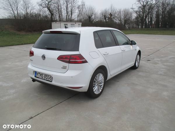 Volkswagen Golf VII 1.6 TDI BMT Highline DSG - 6