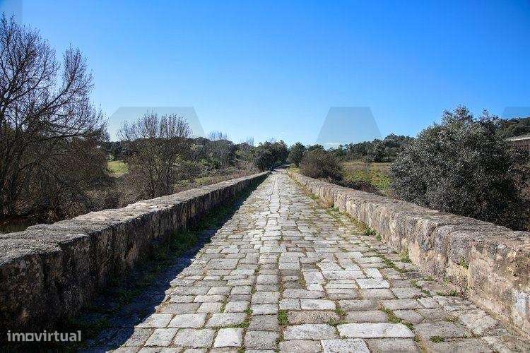 HERDADE ALENTEJO- Alter do Chão - Grande imagem: 4/14