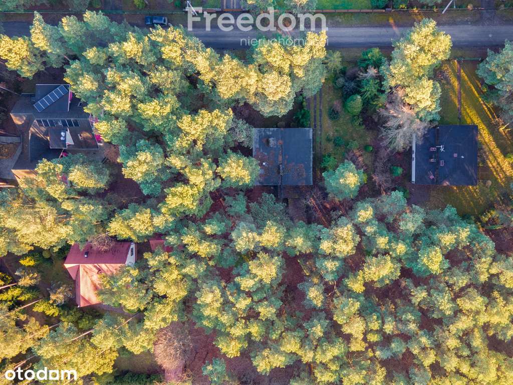 Miejsce na dom wśród zieleni - Pełny obrazek: 4/16