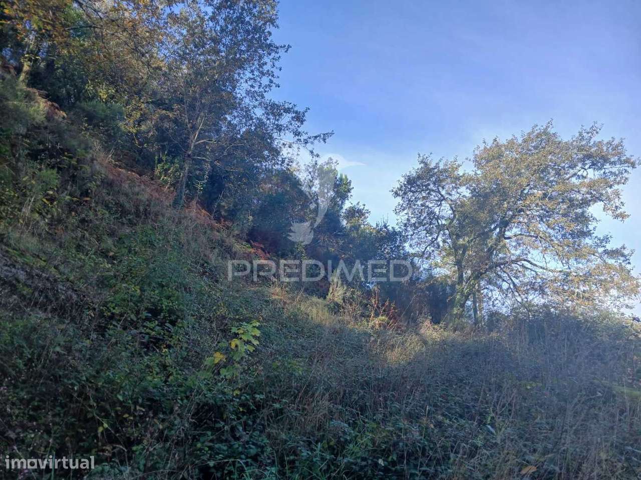 Terreno de Construção em Exclusivo – Vieira do Minho - Grande imagem: 4/6