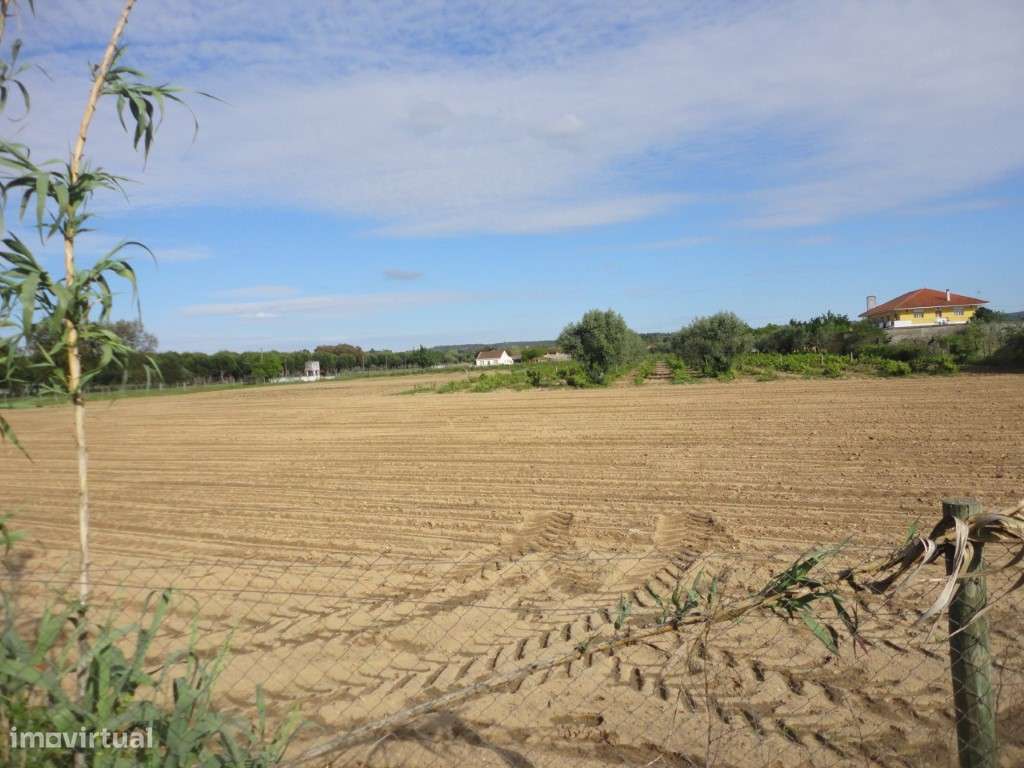 Terreno Urbano Venda Abrantes - Grande imagem: 4/4