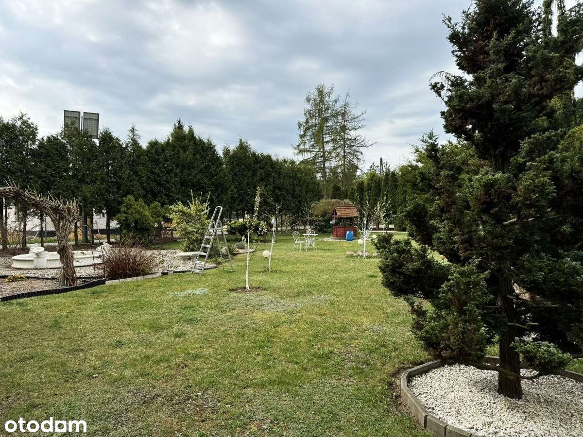 Dom z funkcją gastronomiczną przy samym lesie - Pełny obrazek: 4/20