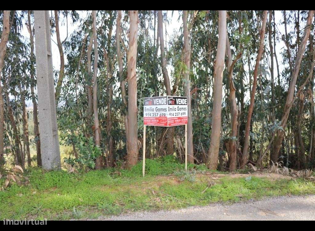 Terreno com possibilidade de construção - Grande imagem: 5/11