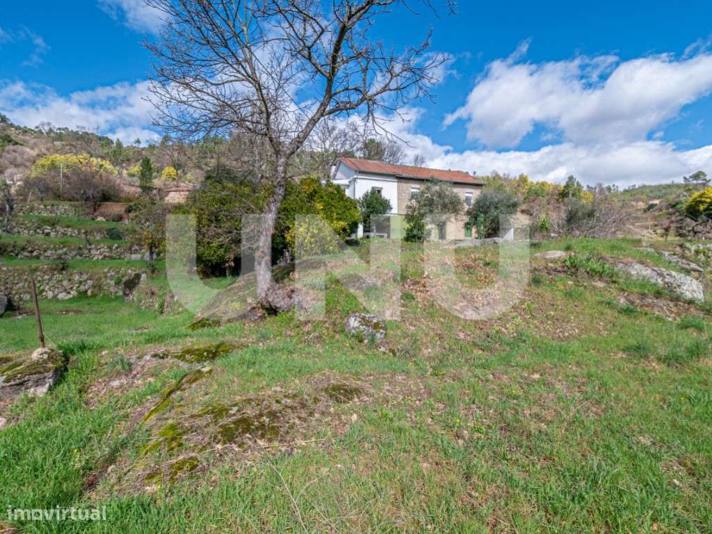 Quinta T2 com Habitação, Infraestruturas Agrícolas e Terreno com Vi...-10