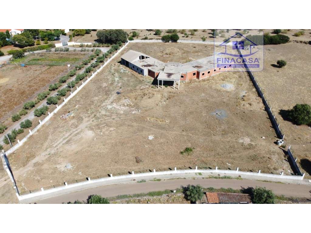 Terreno com moradia situado numa zona sossegada - Brejos(Elvas)-10