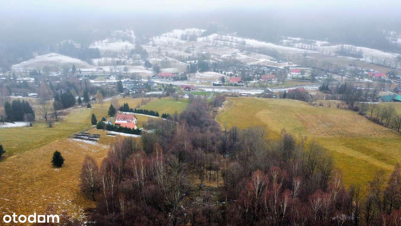 REZERWACJA! 5,5 ha z działką budowlaną – świetne pod domki - Pełny obrazek: 5/6
