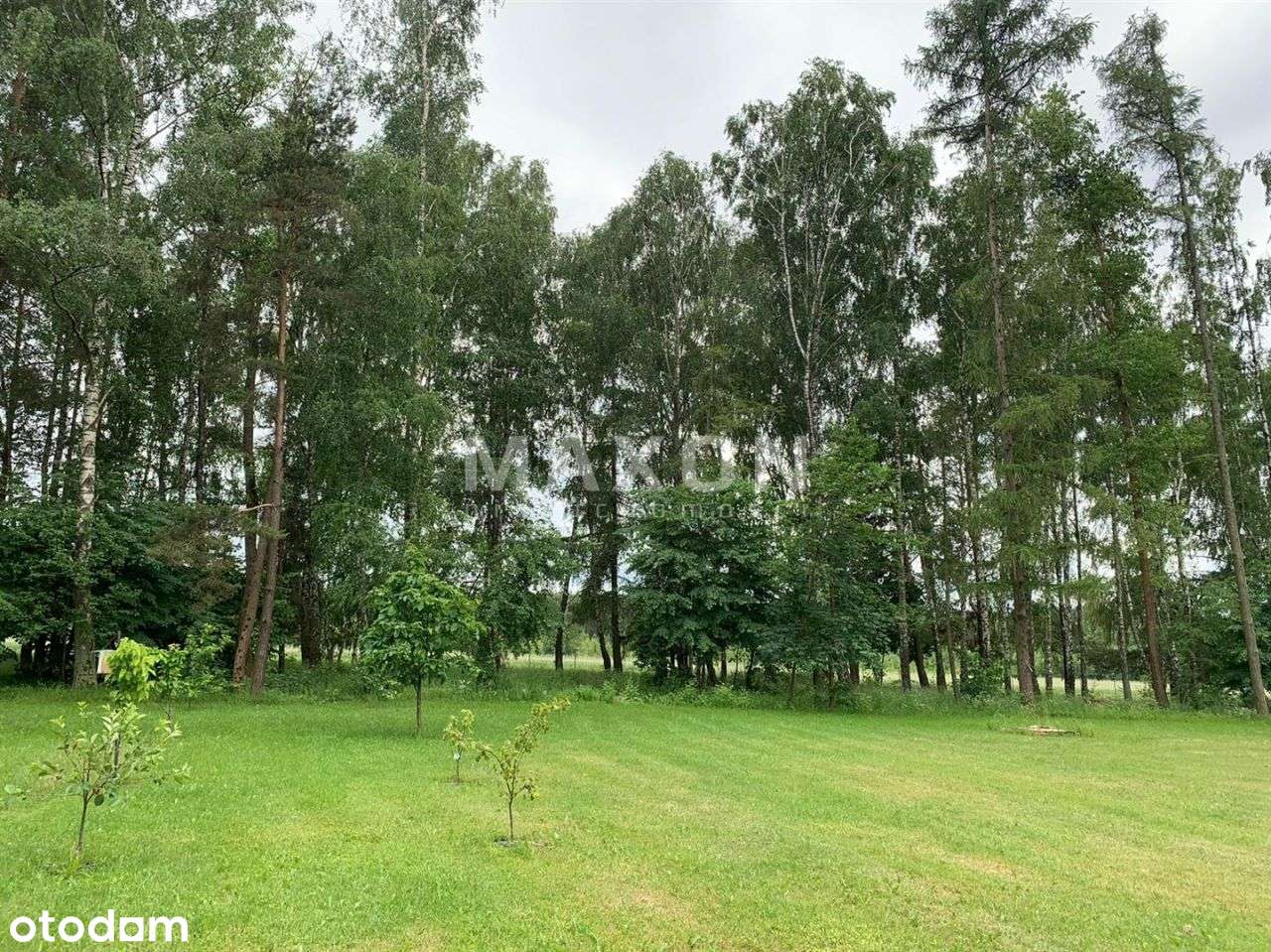 Obiekt na różne typy działalności. - Pełny obrazek: 5/20