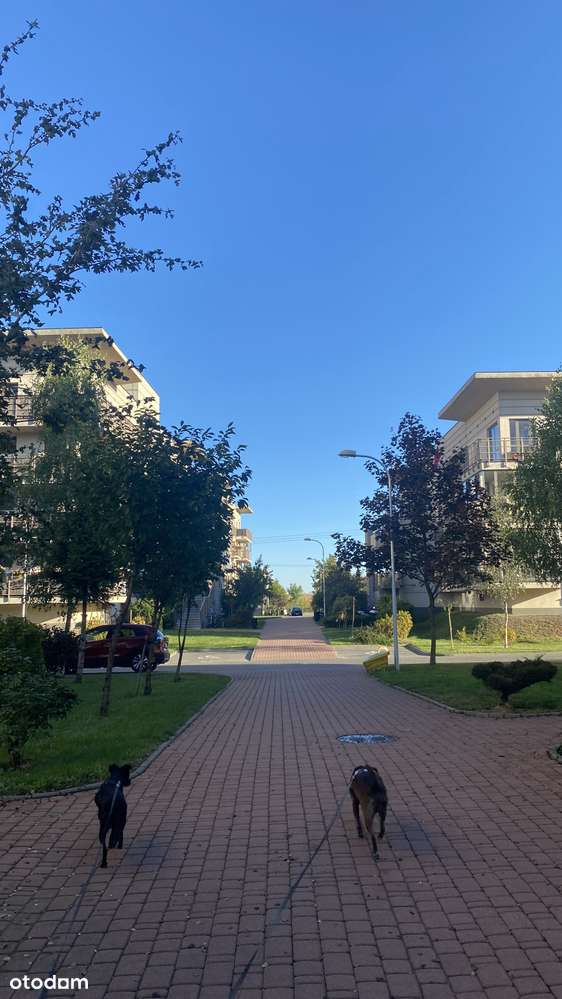 , ul. Koniczyny