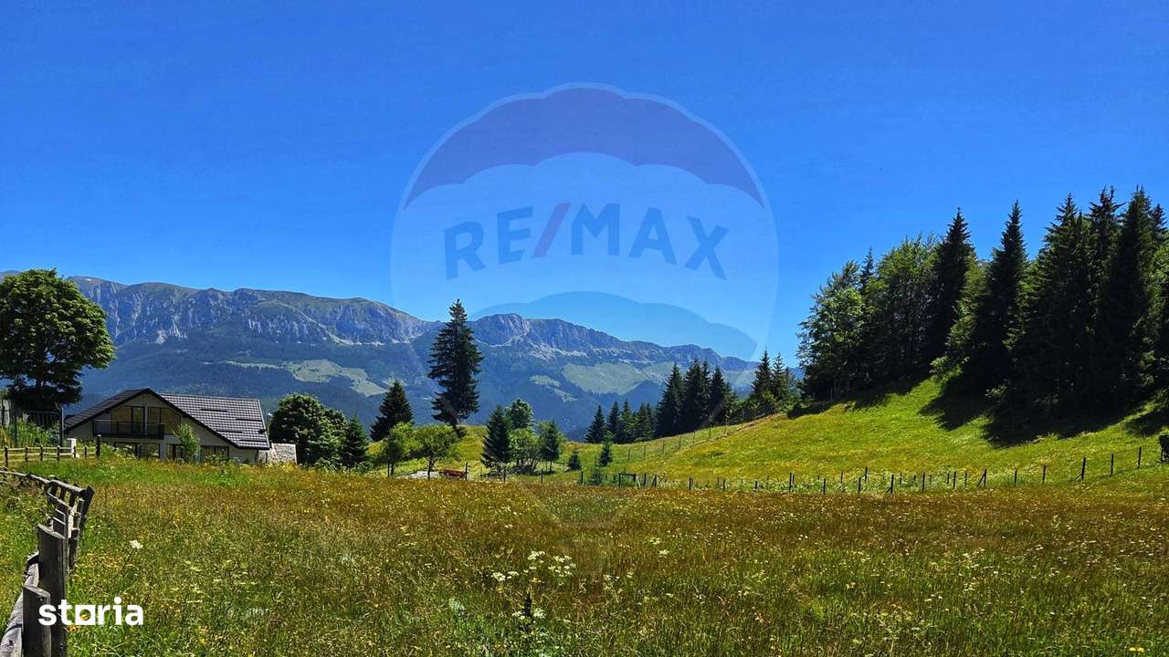 Teren de 7830mp de vanzare in Fundata! Comision 0% - Imagine principală: 5/20