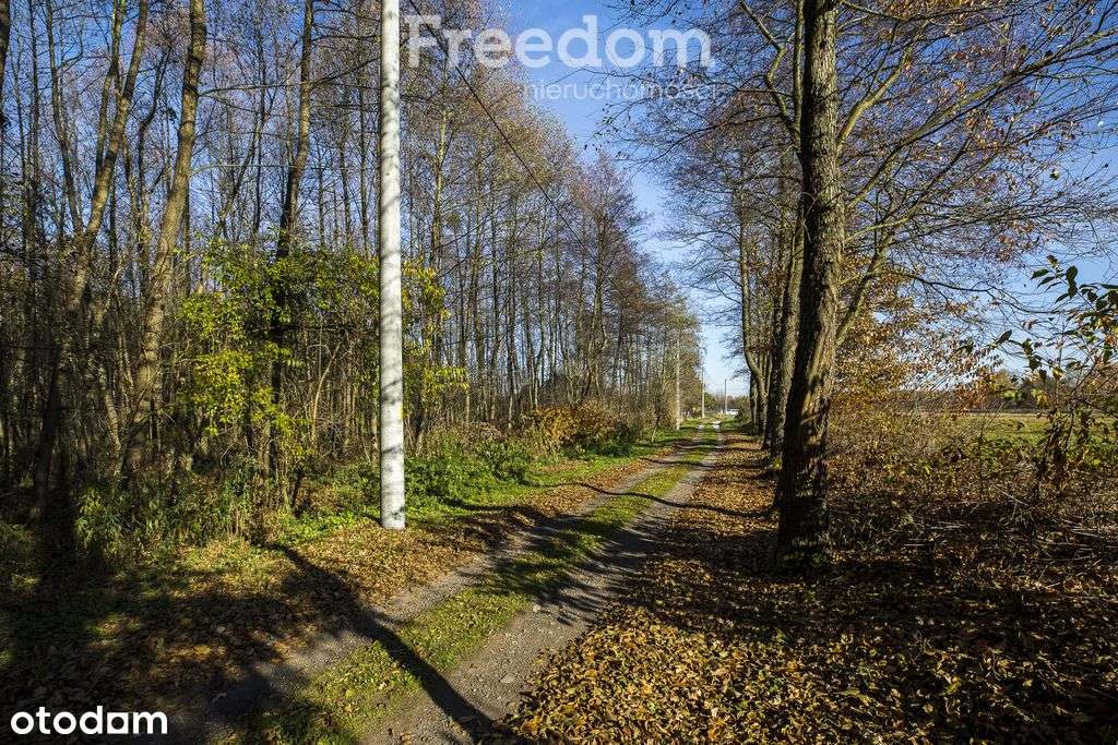 Zielona działka 28,83a w Tarnobrzegu, Ocice - Pełny obrazek: 5/14