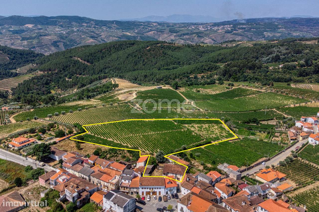 Moradia c/9 divisões, vinha e armazém em Lugar de São Gonçalo, Fava...-0