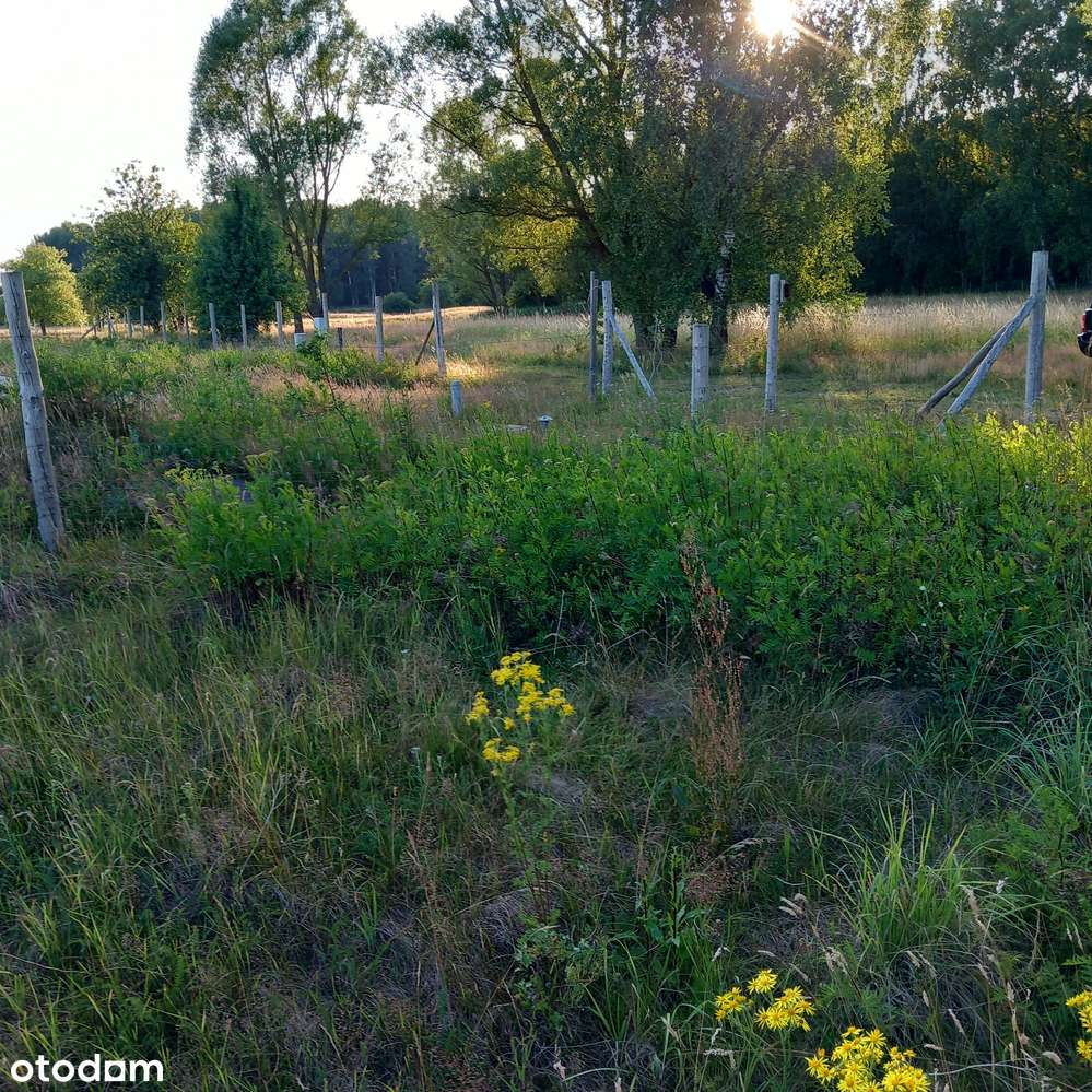 Skraj małej wsi, sąsiedztwo pola golfowego, media obok, droga gminna-5