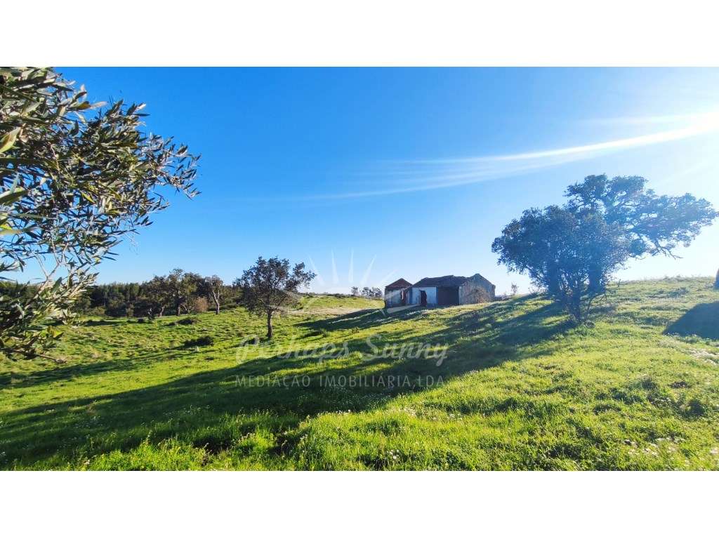 Terreno com moradia para recuperar - Grande imagem: 5/38