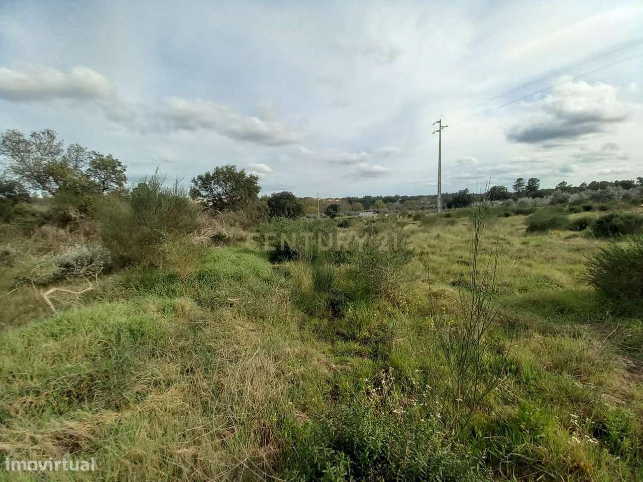 Terreno Rústico Póvoa e Rio de Moinhos, Castelo Branco. - Grande imagem: 5/14