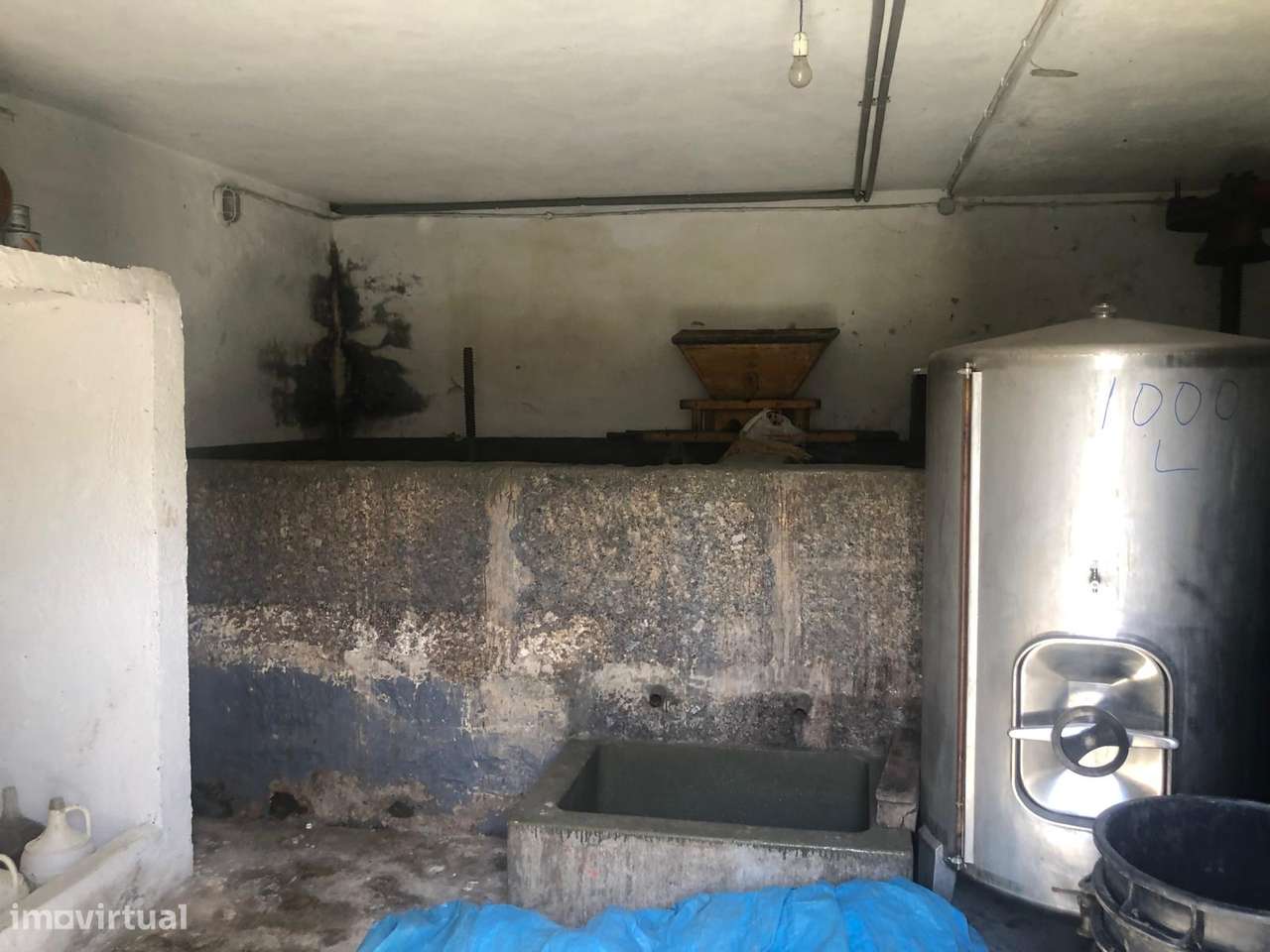 Quinta espetacular na região do vinho verde em plena produção-25