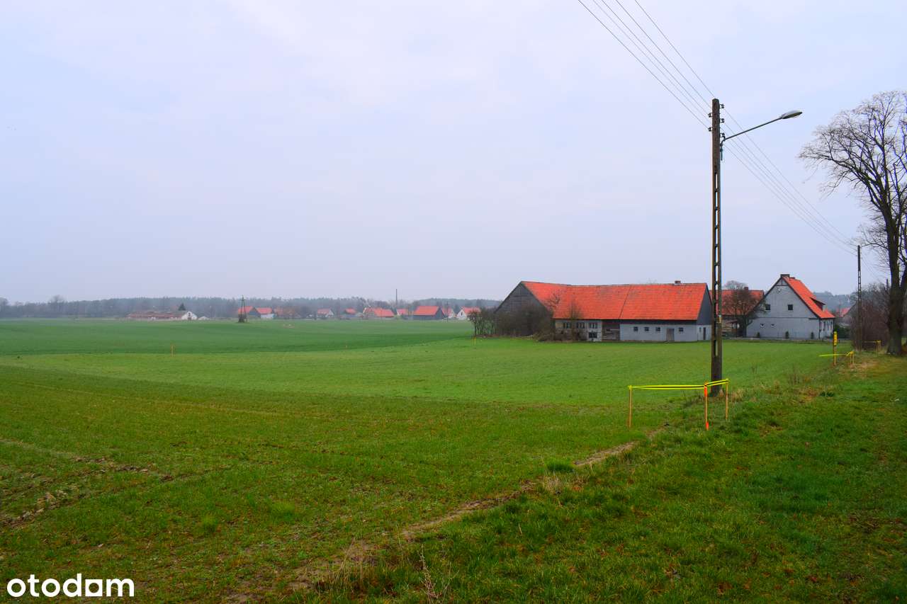 Sprzedam działkę z warunkami zabudowy - Pełny obrazek: 5/5