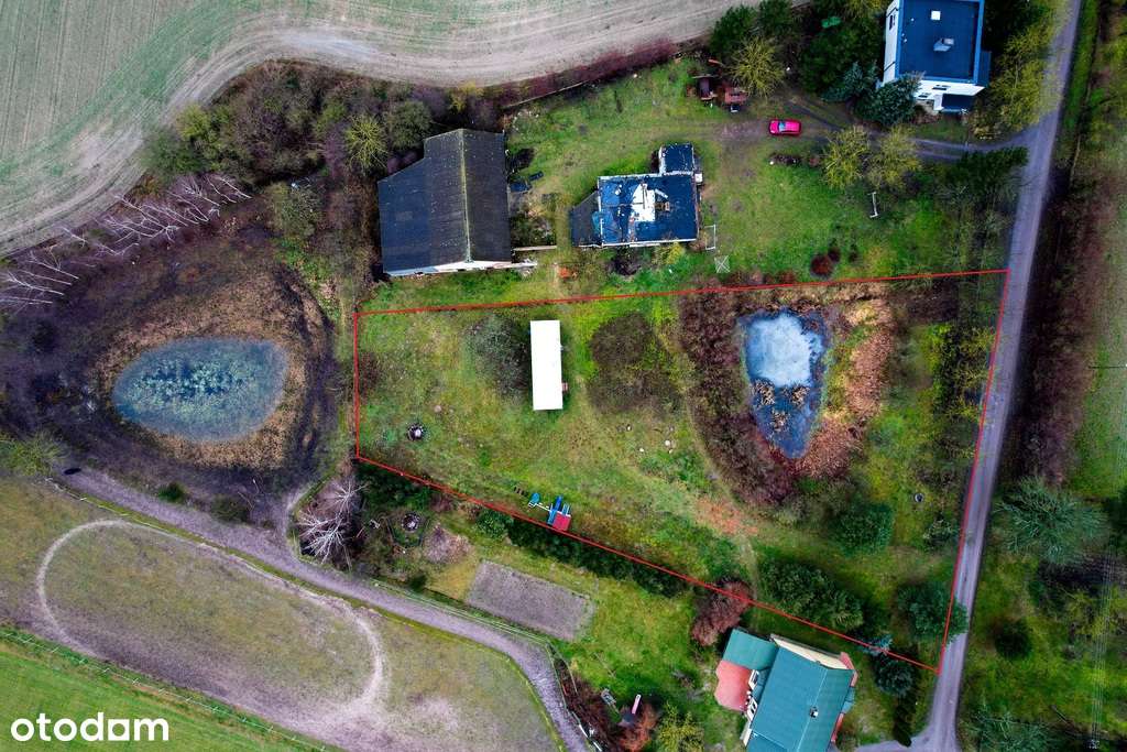 Urokliwa działka ze stawem spokój  CISZA NOWA CENA - Pełny obrazek: 1/7