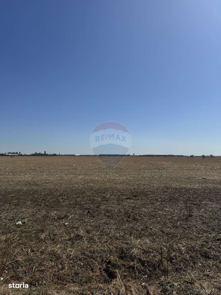 Teren 12,464mp Chitila / Strada Padurii - Imagine principală: 3/8