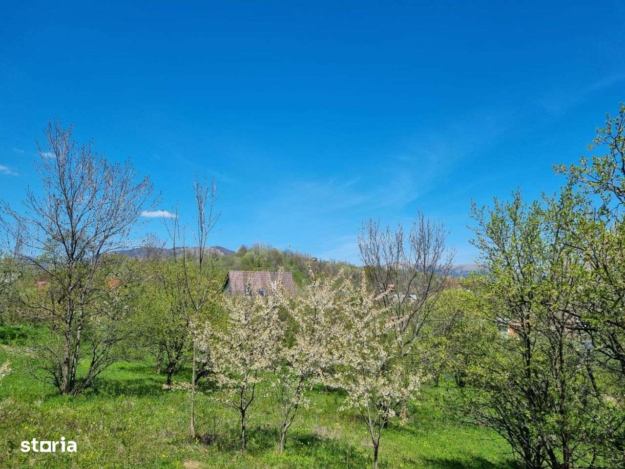 Teren intravilan Comarnic Ghiosesti-aproape moon village - Imagine principală: 4/10