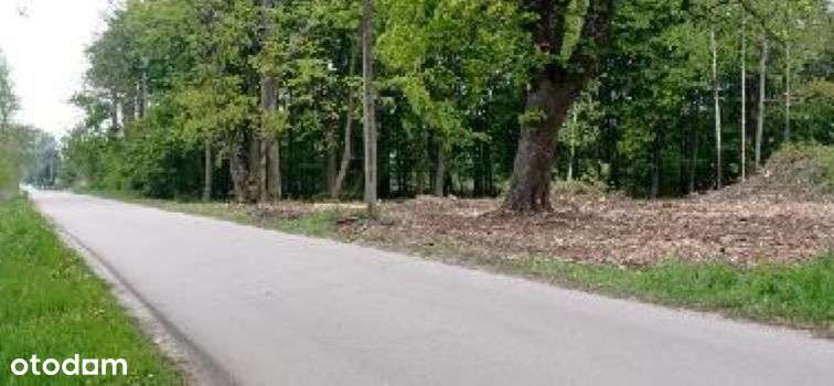 Działka budowlana Aleksandria, Puszcza Mariańska-0