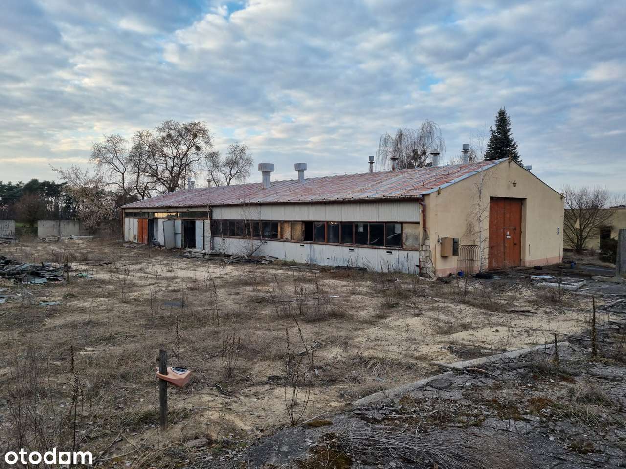 Teren inwestycyjny - 5,5 ha - z budynkami - Żabno powiat śremski - Pełny obrazek: 5/14