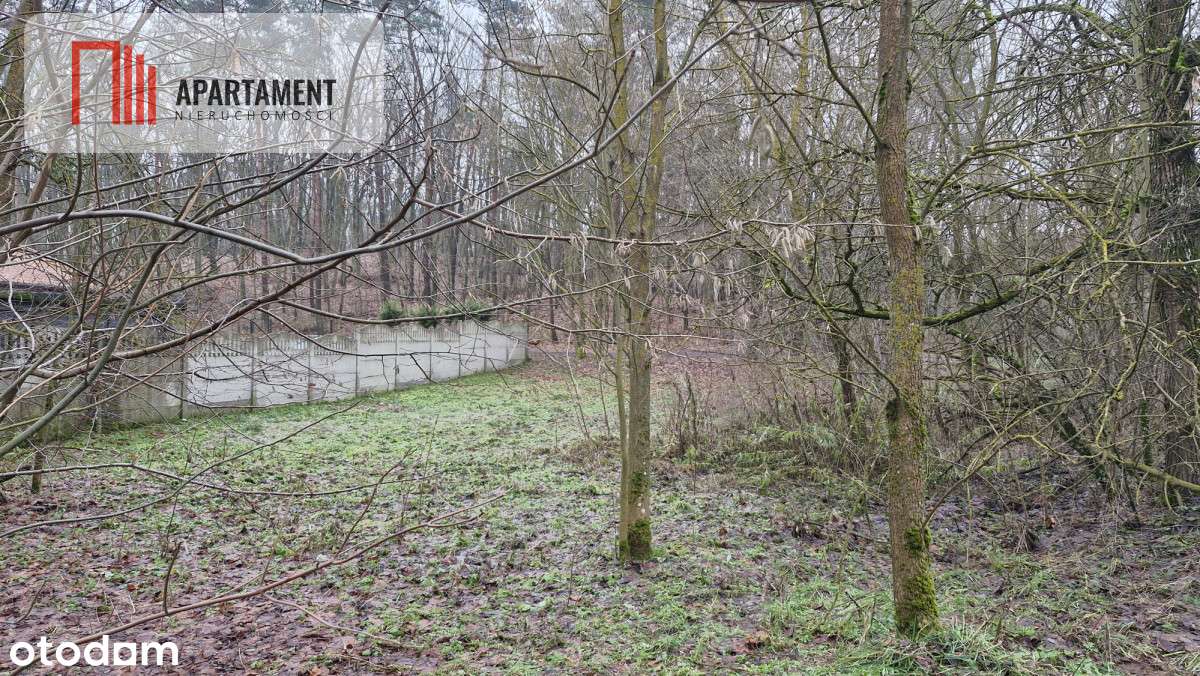 2 działki - Grabowiec . Wydane WZ - w zaciszu lasu - Pełny obrazek: 4/6