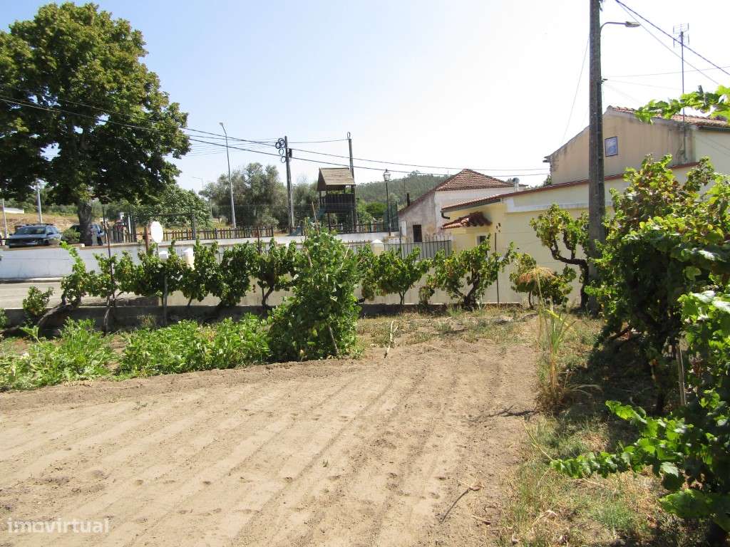 Lote da Tapada, Sardoal-6