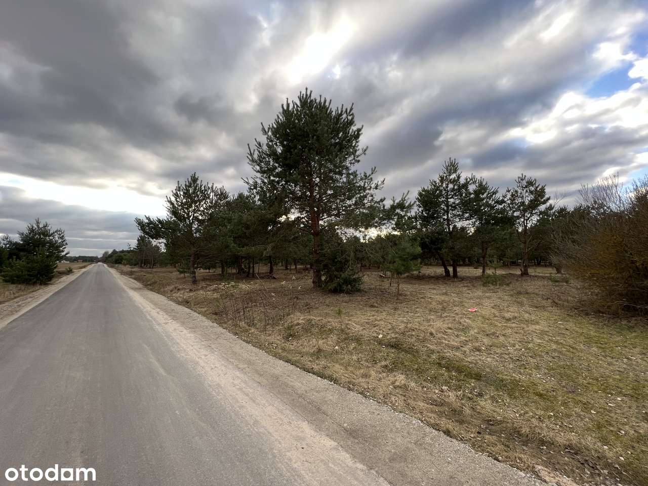 Działki budowlane pośród jezior i lasów-6