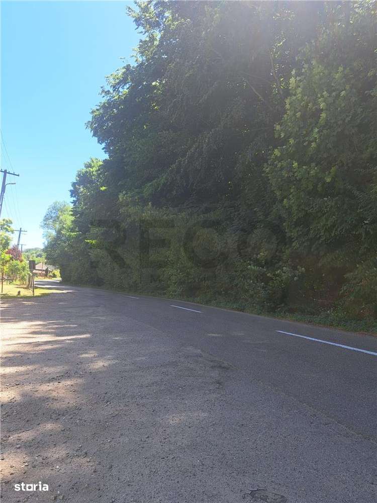 RECO Apartament cu doua camere in Padurea Neagra - Imagine principală: 4/5