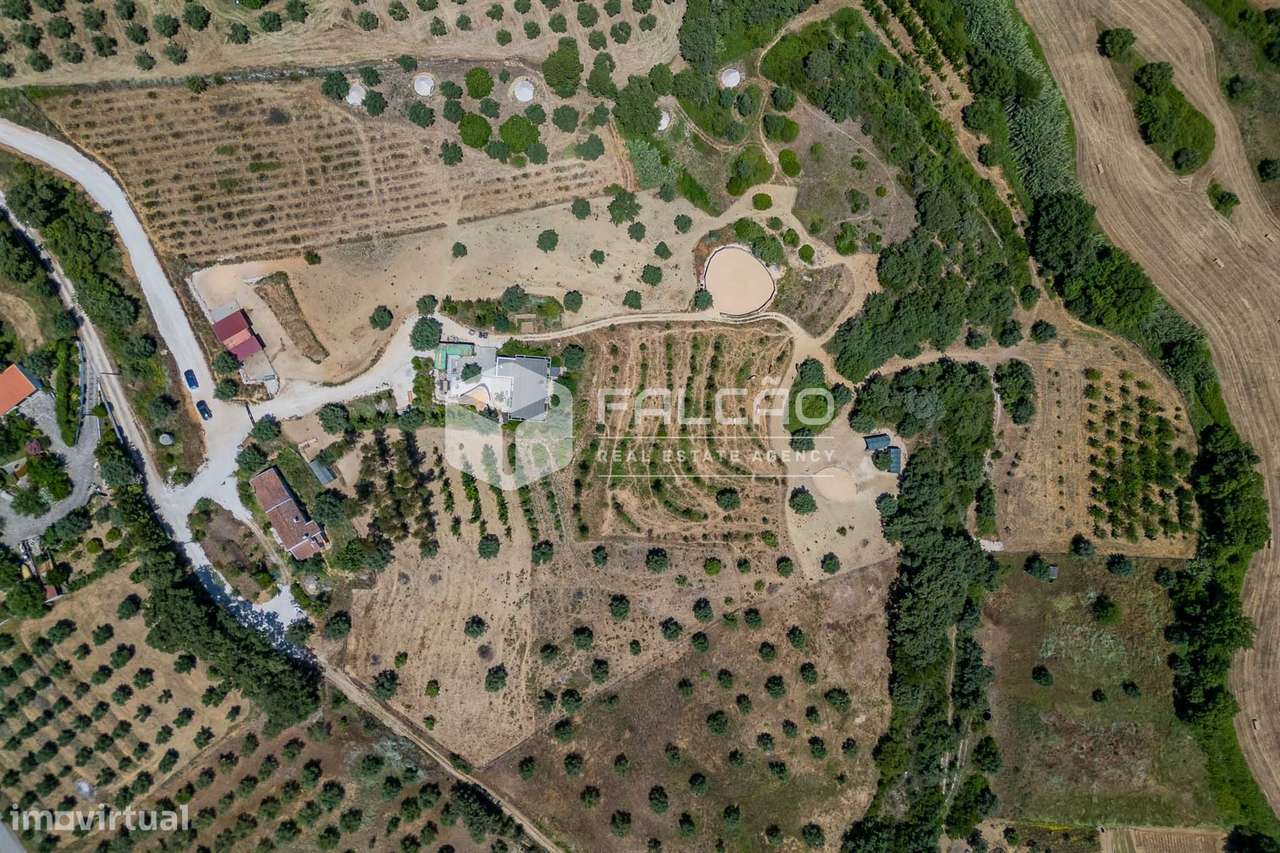 Quinta T2+2 Venda em Brogueira, Parceiros de Igreja e Alcorochel,Torre - Grande imagem: 3/50