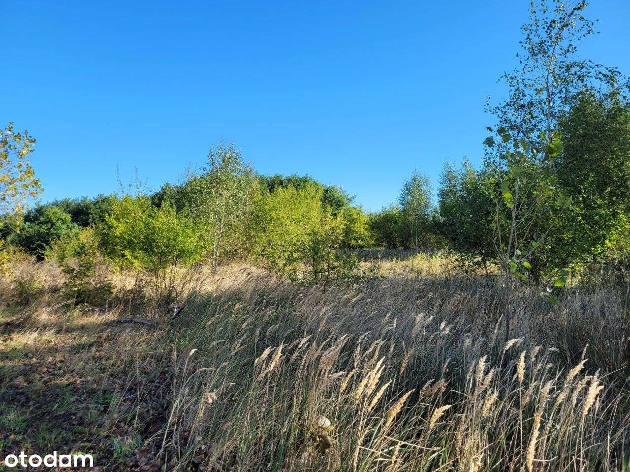 Wyjątkowa okazja działka bud Chwarstnica Gryfino-5