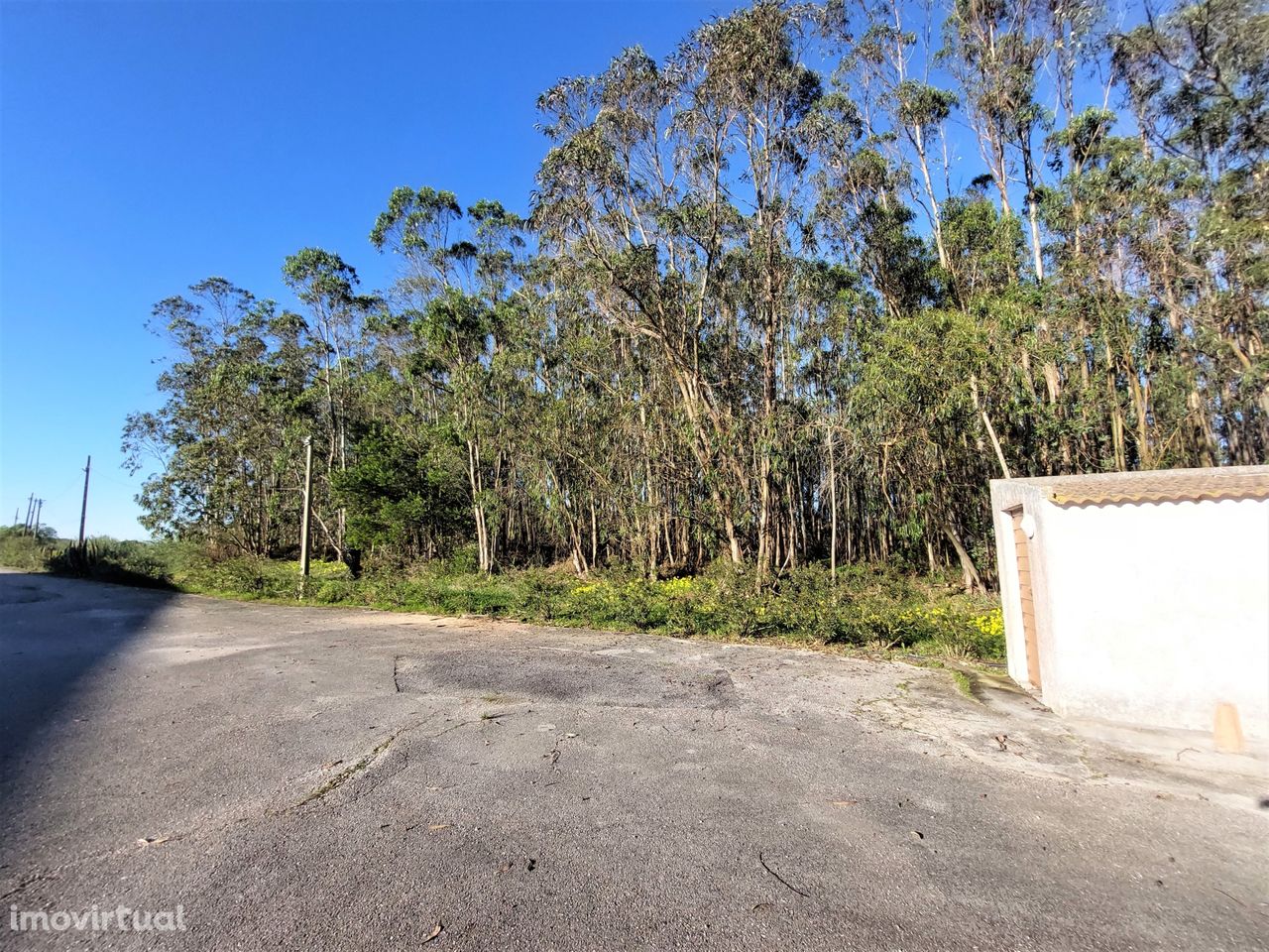 Terreno Rústico com 3200m2 em Atouguia da Baleia- Peniche