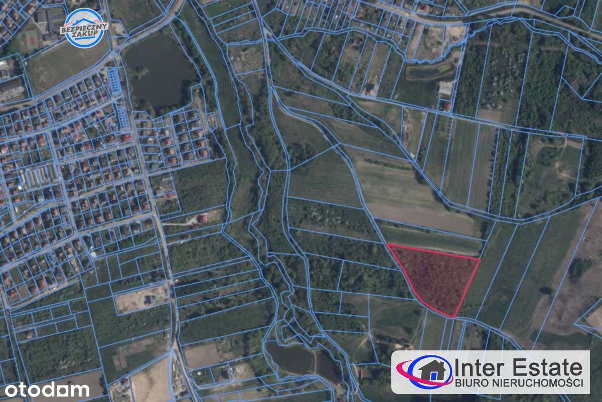 Działka Z Widokiem NA Zalew Wiślany-7