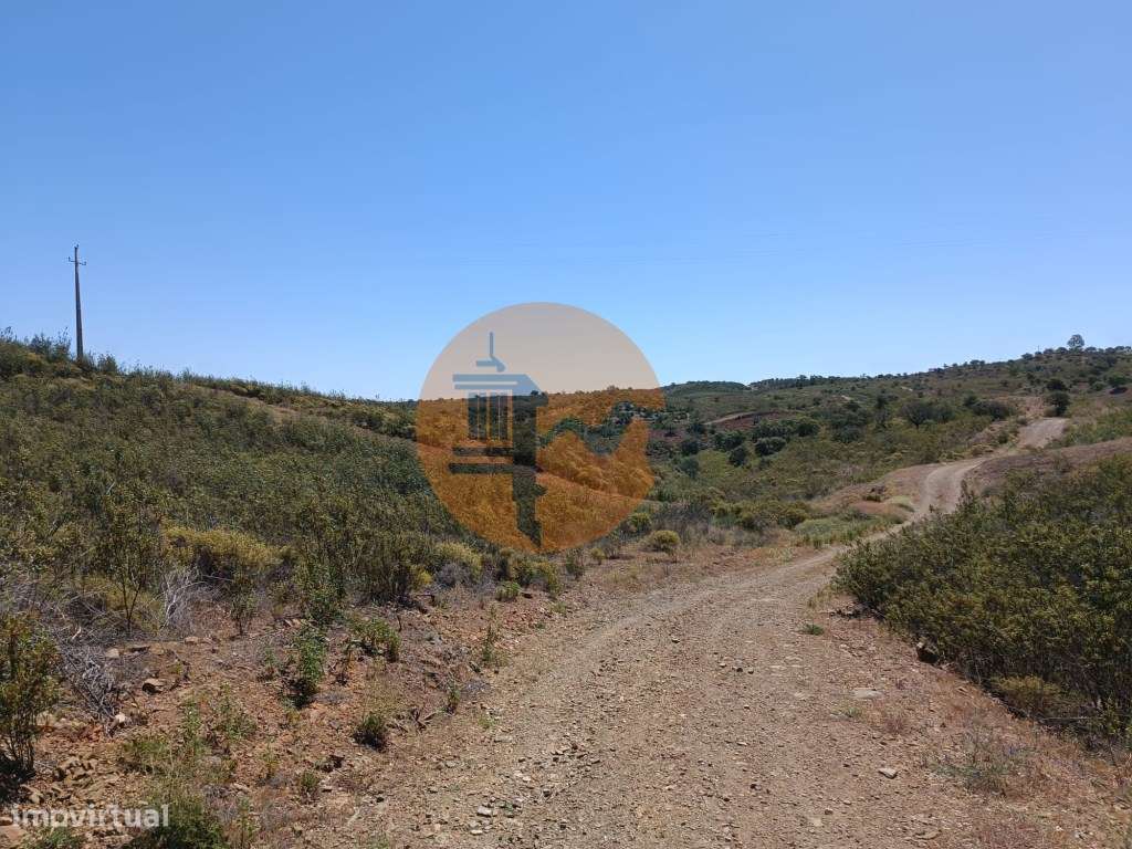 TERRENO COM 34.700 M2 - POSSIBILIDADES DE CONSTRUIR UM ARMAZEM - PR...-24