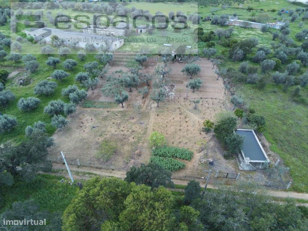 Quintinha 15 minutos Castelo Branco - Grande imagem: 2/25