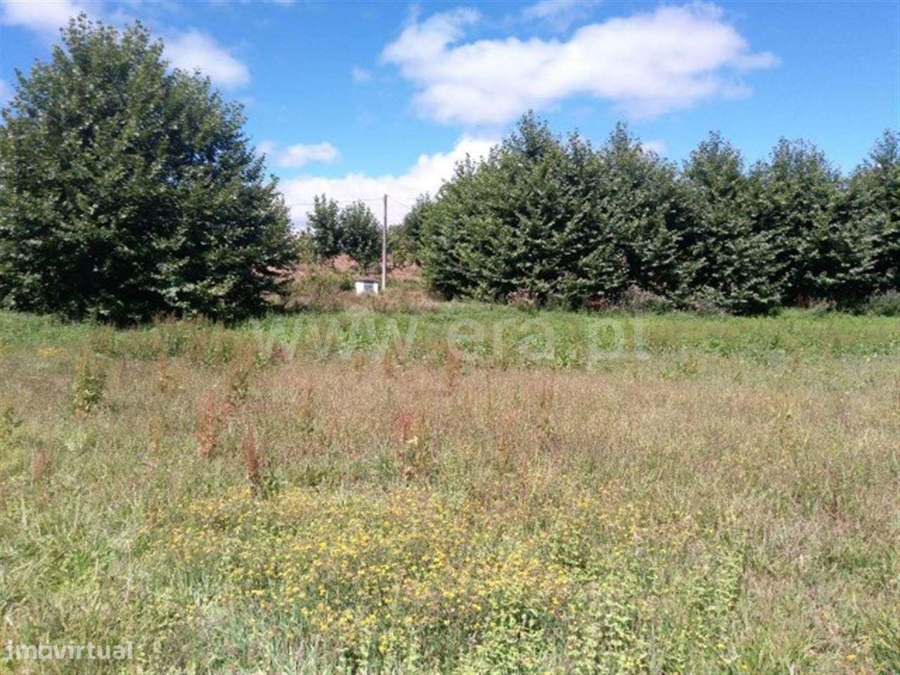 Terreno em Vinhós - Grande imagem: 4/4