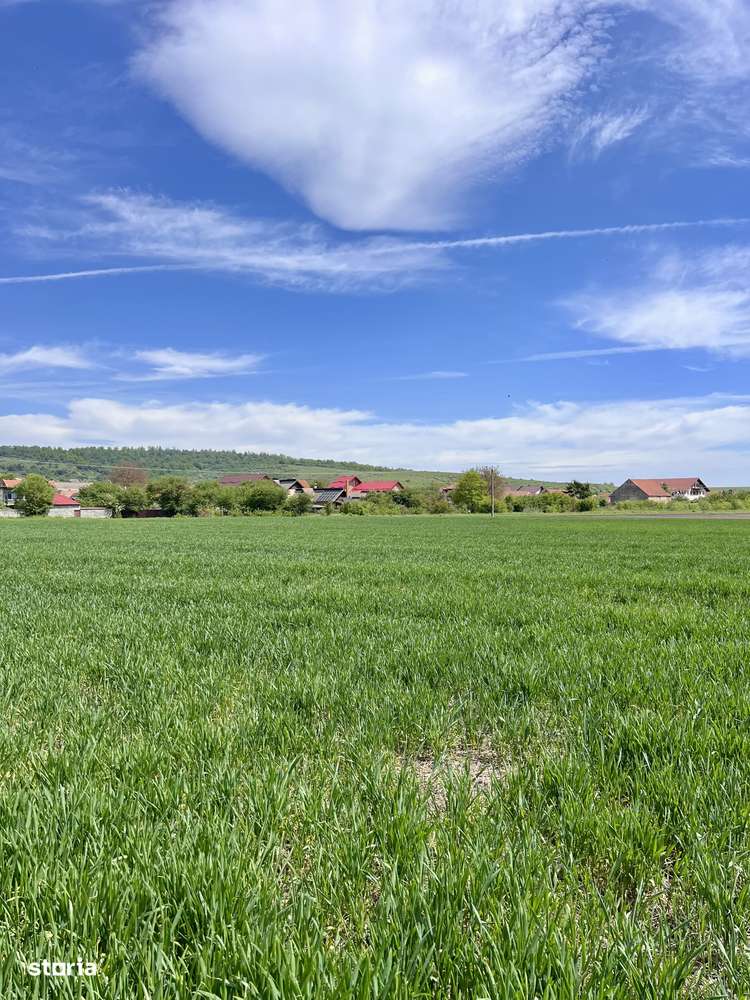 Teren de vânzare intravilan 1150mp lângă Munte - Imagine principală: 5/5