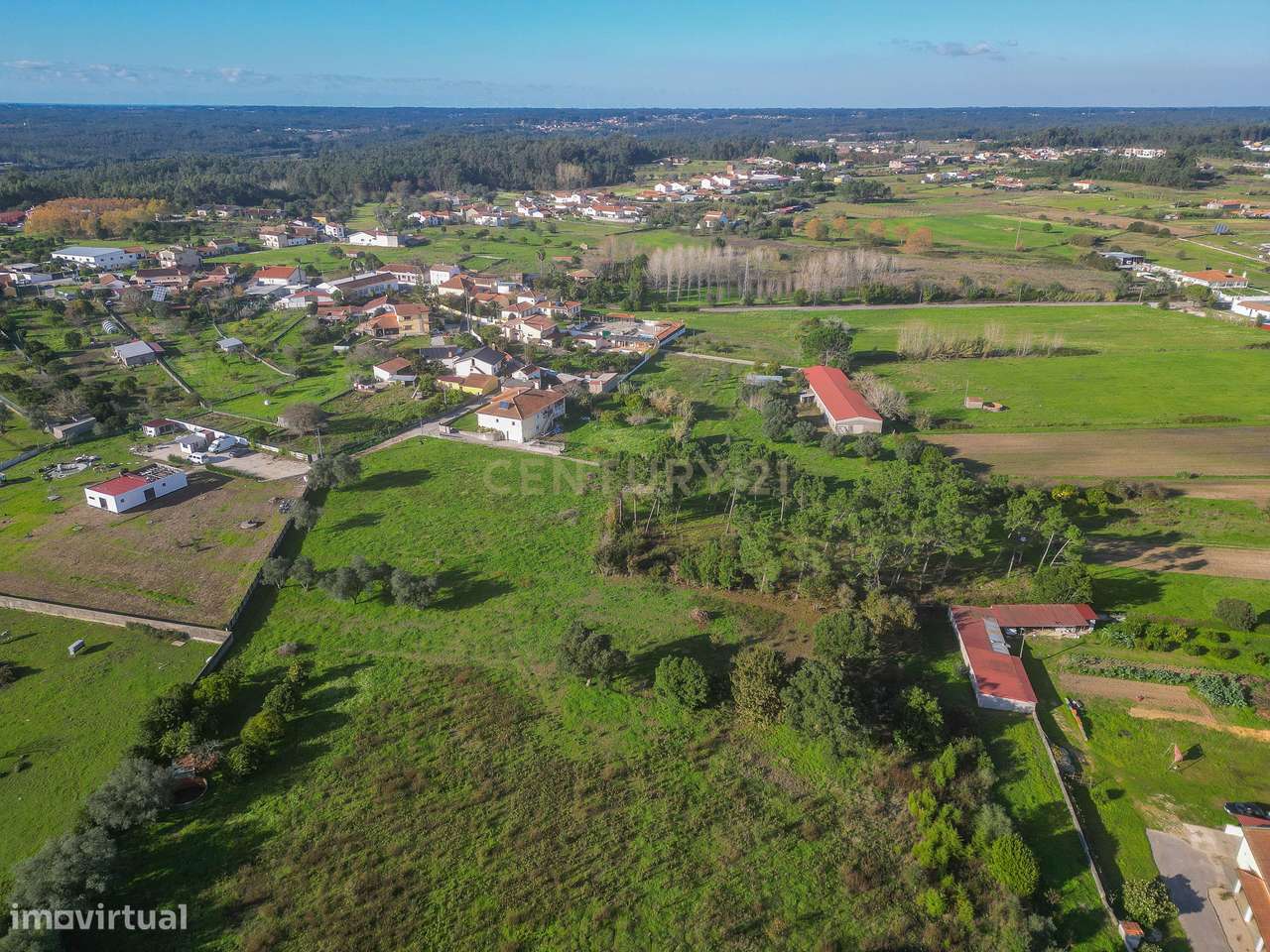 Terreno Agrícola em Montemor o Velho - Oportunidade Única-12