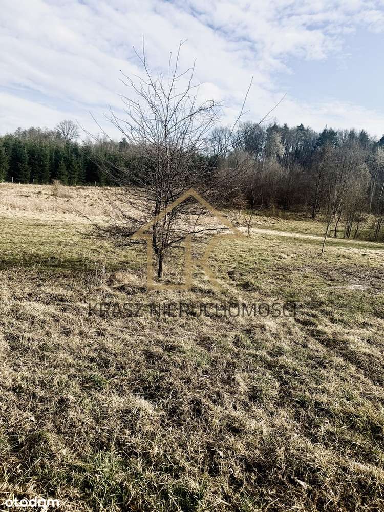 Działka rolna przy lesie-cisza, spokój,sama natura - Pełny obrazek: 5/6
