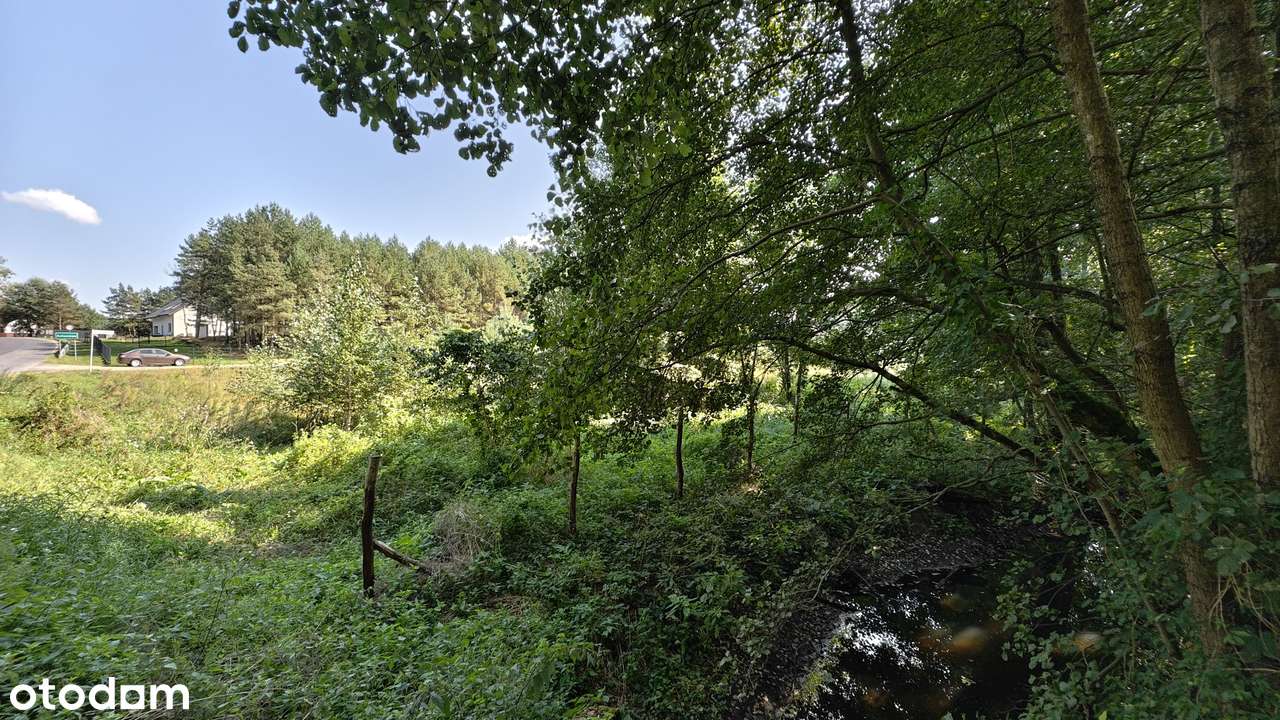 ENKLAWA prezentuje: działka w MEGA okolicy! PUSZCZA NOTECKA + jezioro!-6