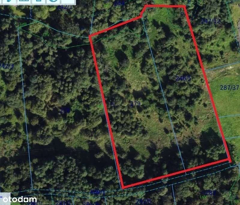 Gaj , Zadziele, działka inwestycyjna, 162 ary-2