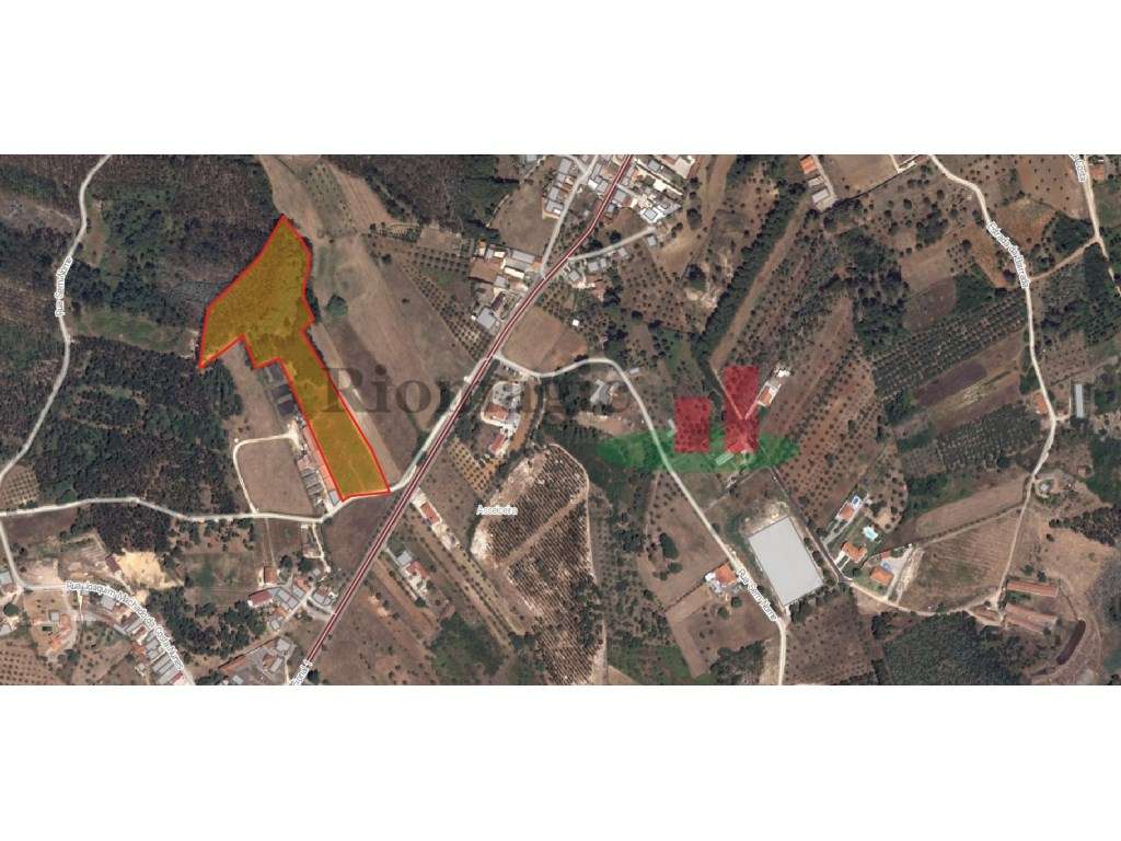 Terreno Rústico em Asseiceira***RIOMAGIC*** - Grande imagem: 4/10