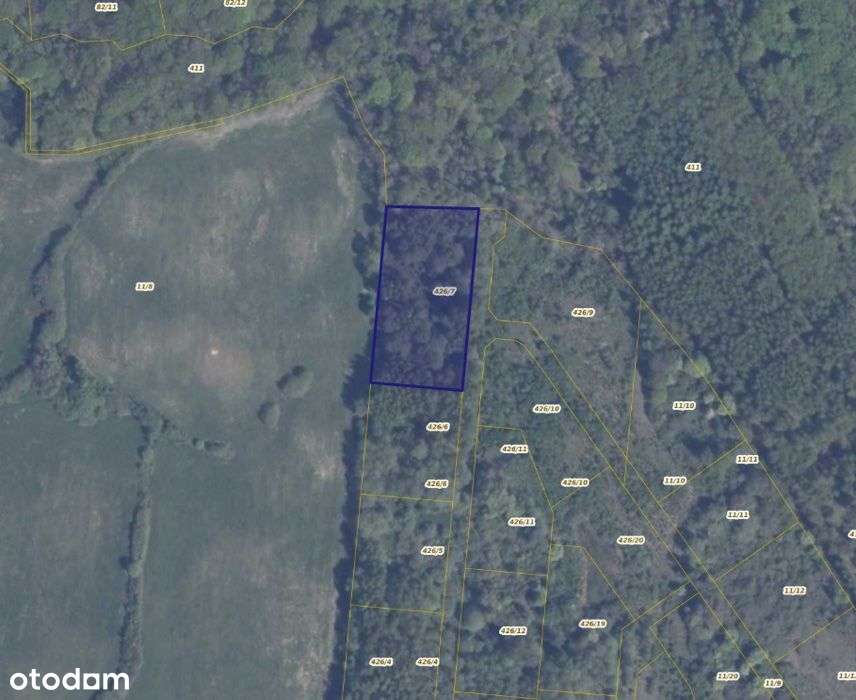 Działka 426/7 w Pręgowie Górnym - Pełny obrazek: 3/6